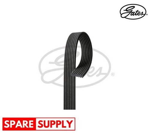 Ribbed belts for vw - v-ribbed,