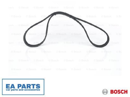 Ribbed belts for vw - belts,