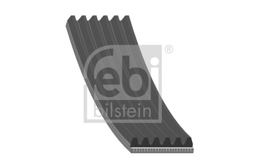Ribbed belts for vw - v-ribbed,