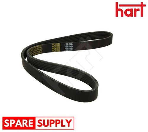 Ribbed belt for caddy - for, vw
