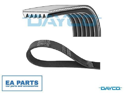 Ribbed belts for vw - belts,