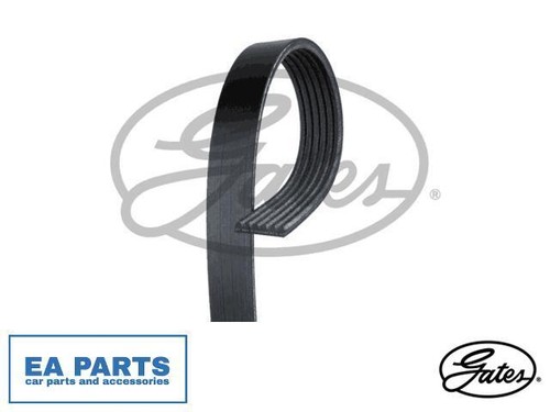 Ribbed belt for vw - belt,