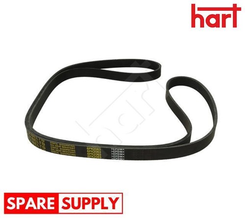 Ribbed belt for vw - v-ribbed,
