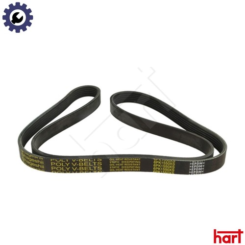 Vribbed belt 917 - 917, 791
