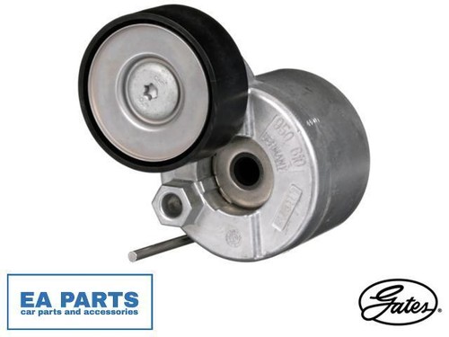 Belt tensioner ribbed - tensioner,,
