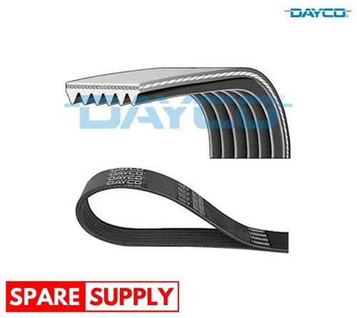 Ribbed belt for vw - v-ribbed,