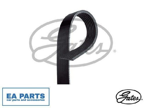 Ribbed belts for vw - v-ribbed,