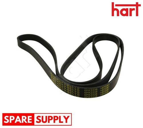 Ribbed belt for - v-ribbed,