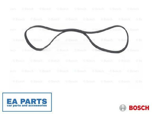 Ribbed belts for - belts,