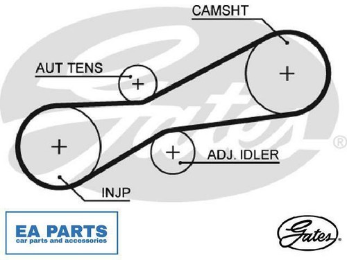 Timing belt for - belt,