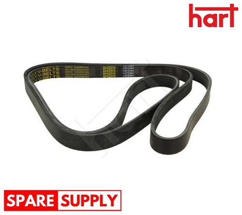 Ribbed belt for - belt, vw